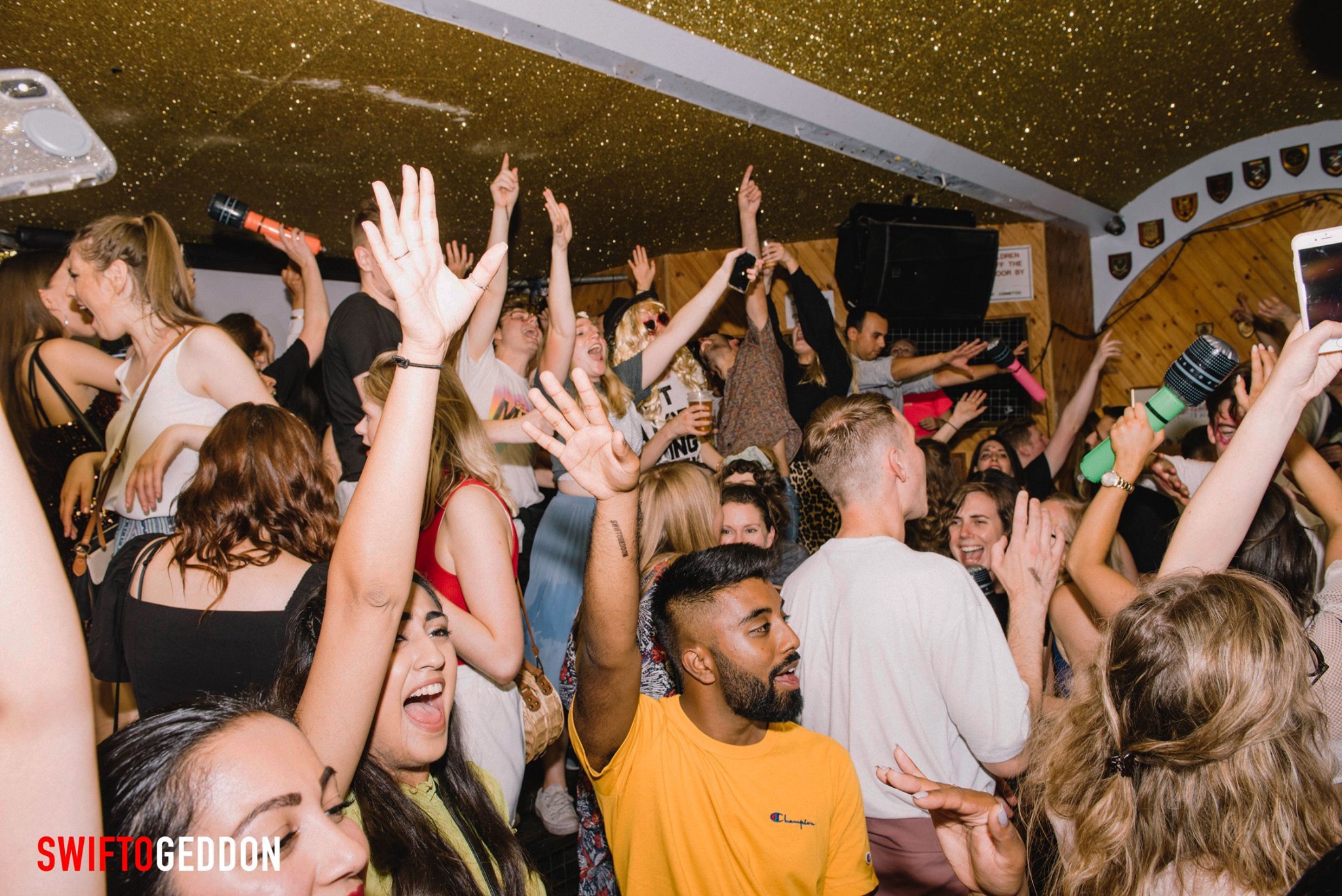 A crowd dances at Swiftogeddon. They all look happy and they're having a great time.