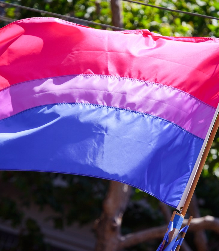 The bi pride flag