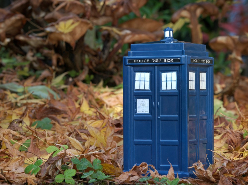 A miniature TARDIS in a patch of brown leaves.